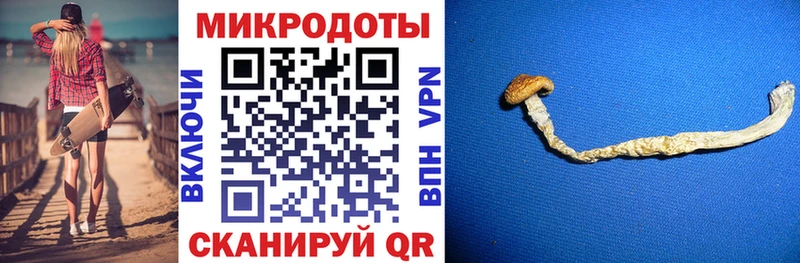 Псилоцибиновые грибы прущие грибы  МЕГА как войти  Спасск 